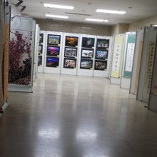 上海金喜展覽服務(wù)公司 專業(yè)展覽服務(wù)助力企業(yè)品牌騰飛