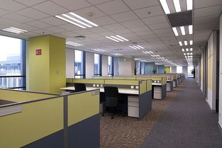 廣州金鴻鵬地毯廠 專業(yè)辦公室地毯與展覽服務(wù)專家